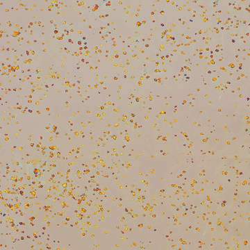 POLVERE DI STELLE 4мм